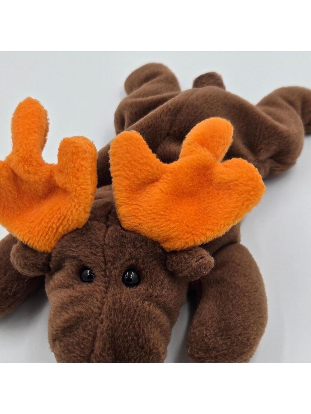 Chocolate Moose Beanie Baby